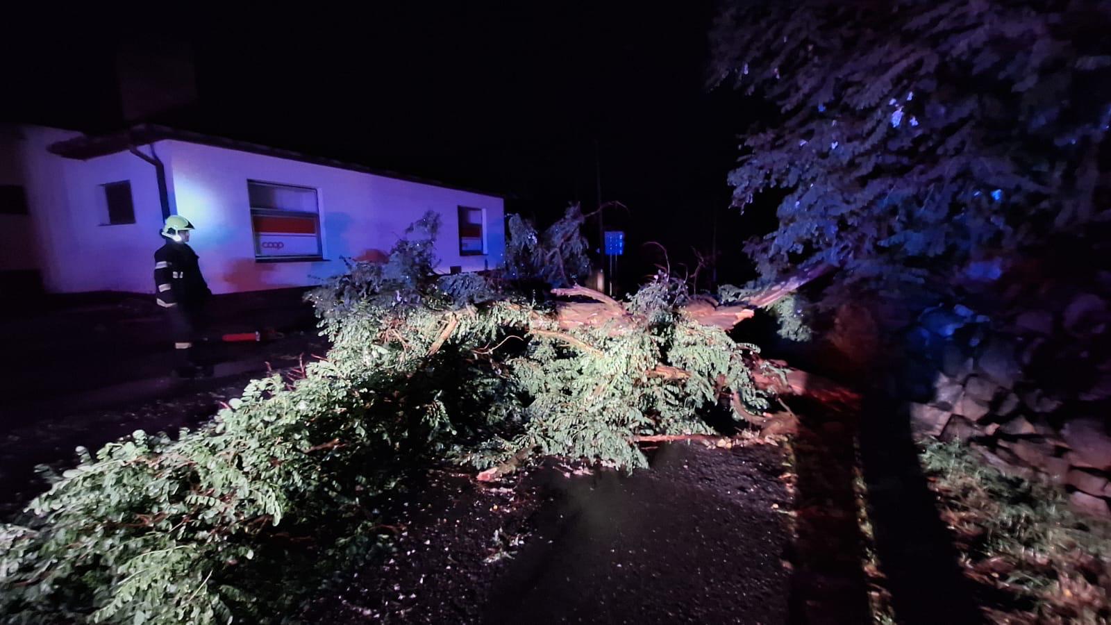 109. 4.6. Strom Nečín COOP