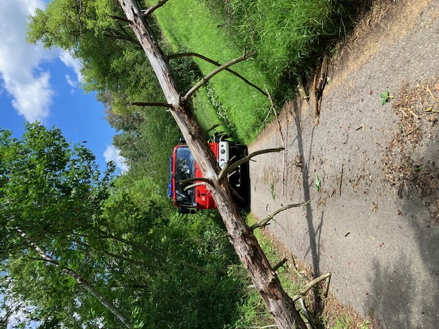 Strom osada Vrchy 24.6.25