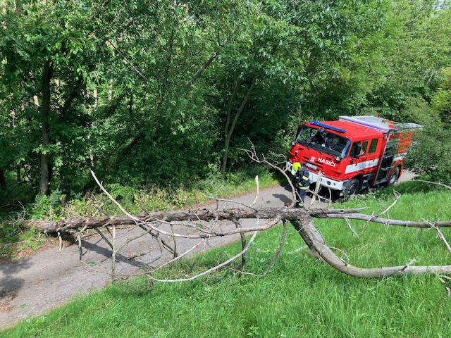 Strom osada Vrchy 24.6.2024