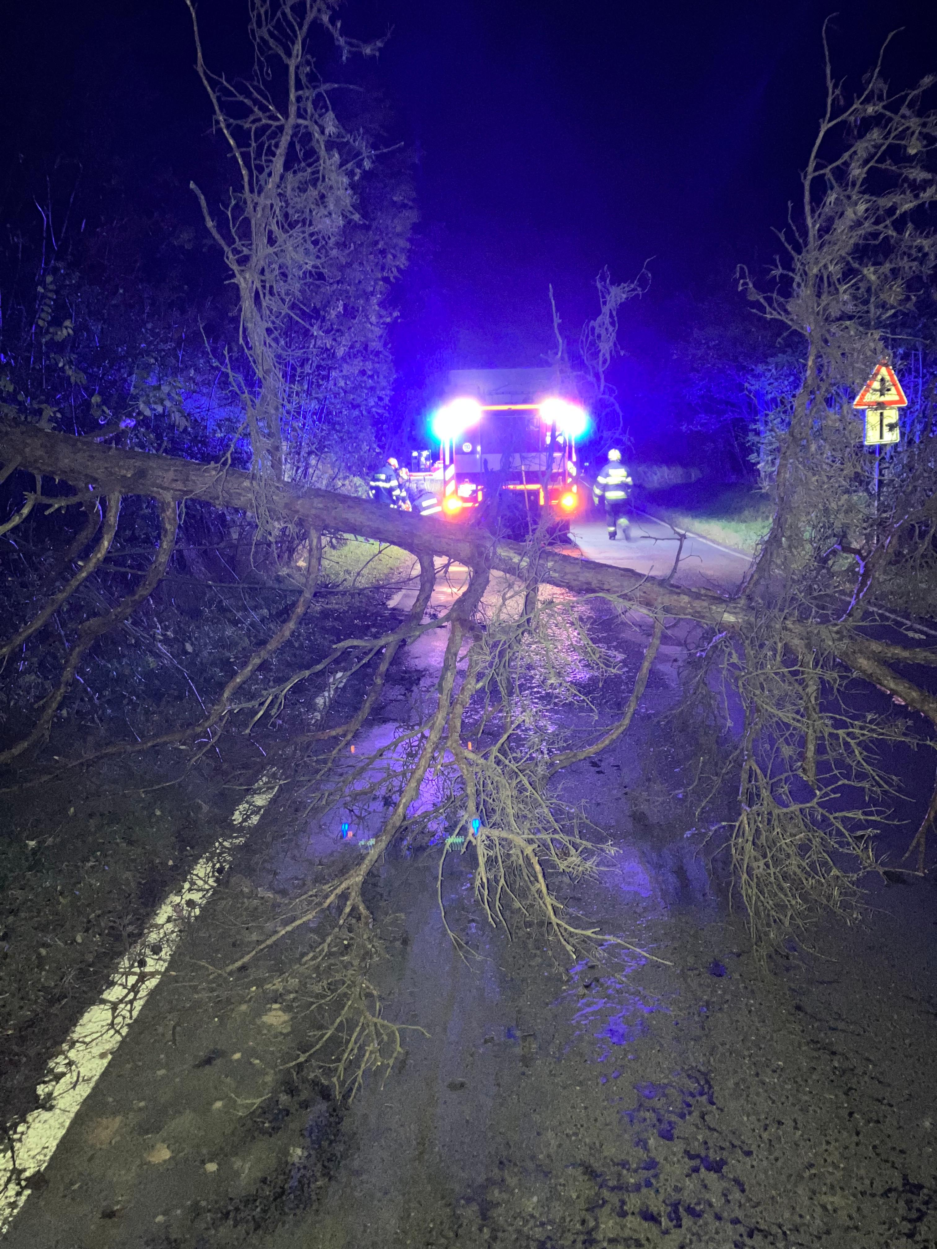 221. Lipiny 29.10.2025