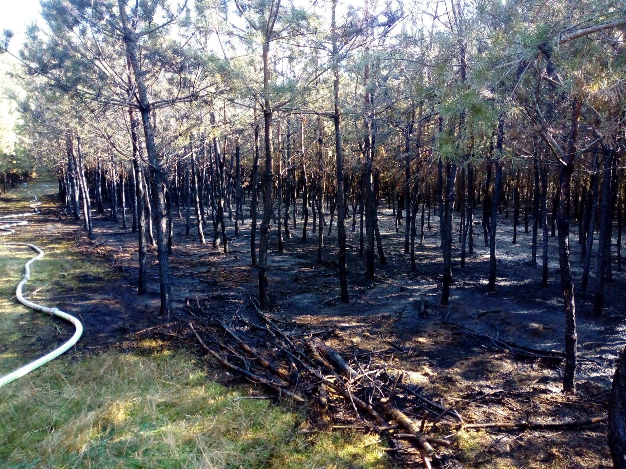 požár lesa Kamýk n Vl. 16.10.2018