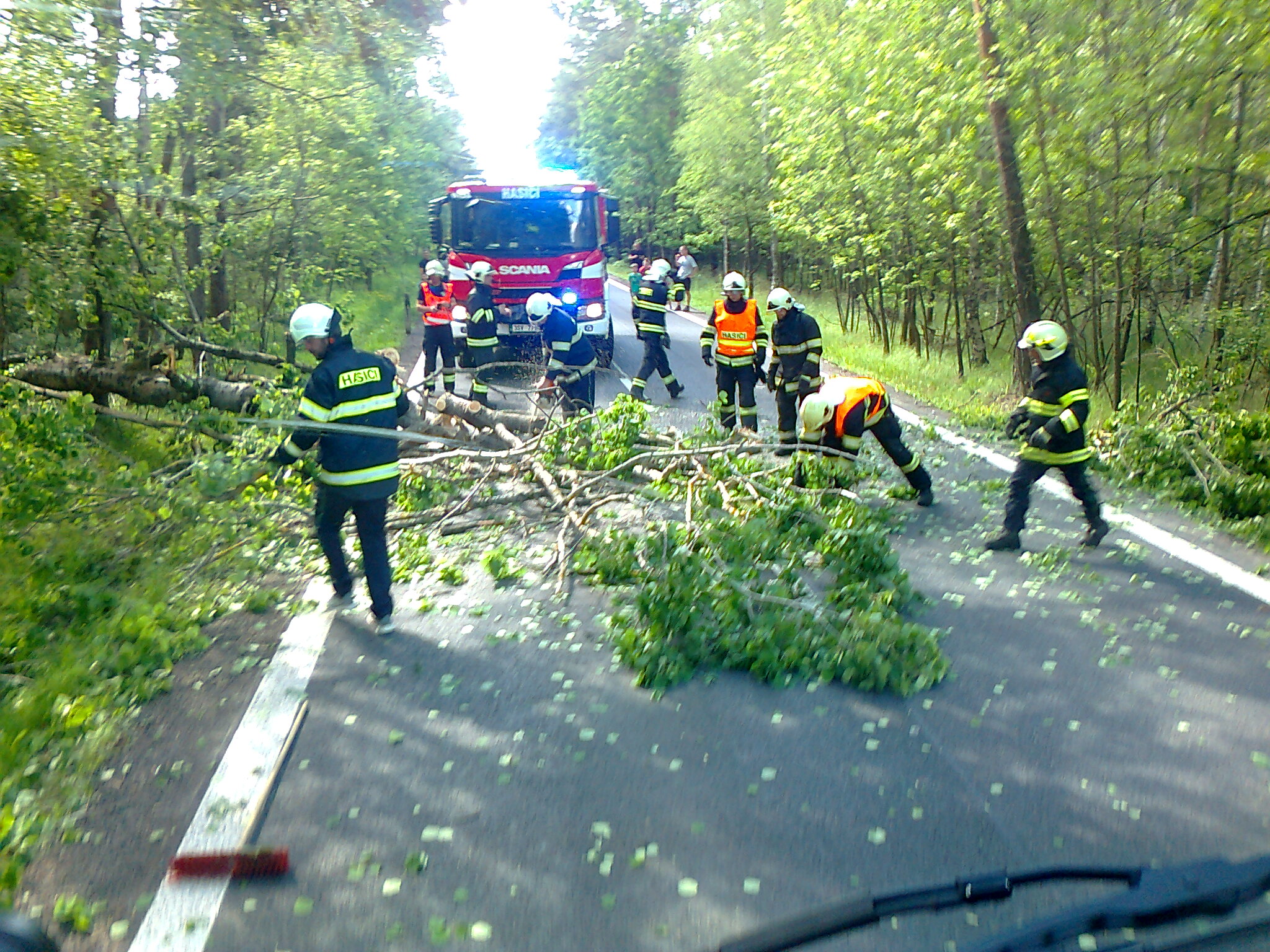 padlý strom Pánkovka 21.5.2022
