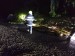 112. 5.6. strom Zadní Háje